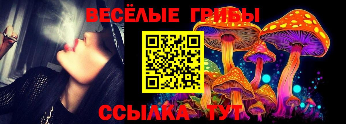 АМФЕТАМИН Губаха
